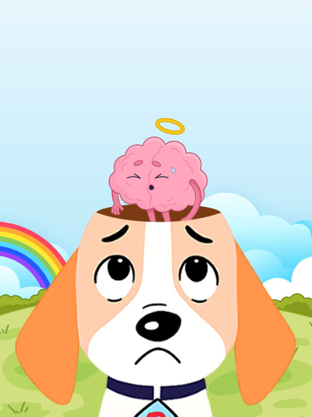 Engaging Focus Activities for Kids with ADHD