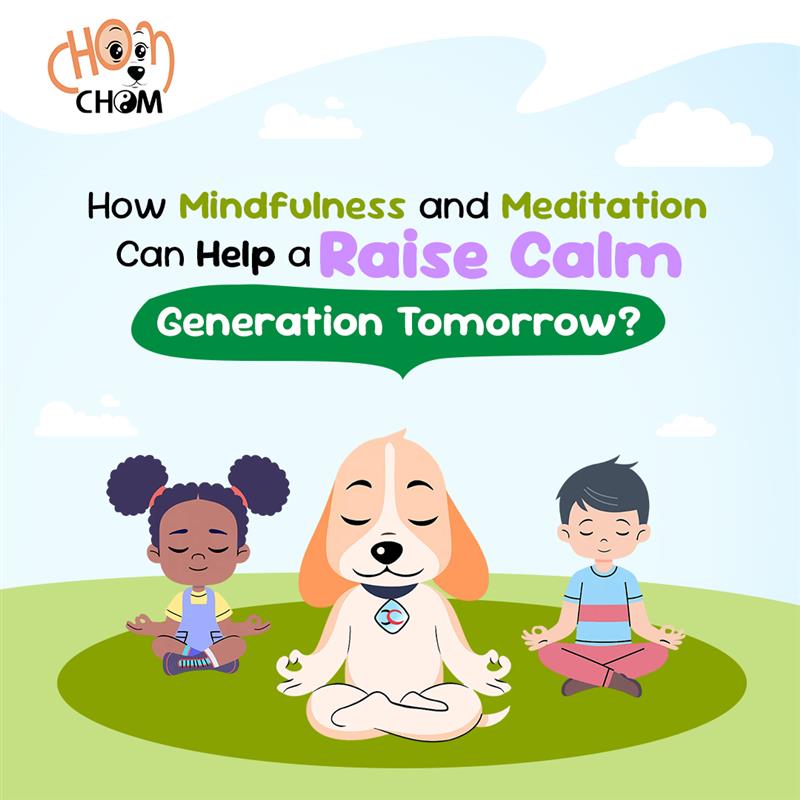 meditation mindfulness